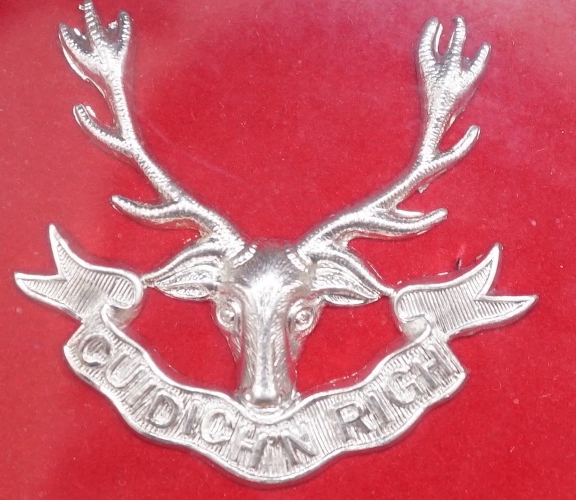 A WWI trio to 810238 Cecil F Coleman, Lance Corporal Seaforth Highlanders, framed